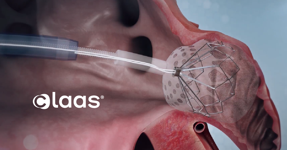 pateint animation web image